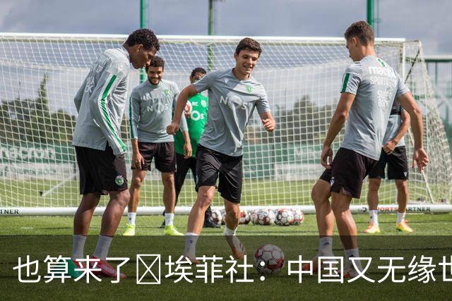 也算来了😅埃菲社：中国又无缘世界杯，但中国企业深度参与其中